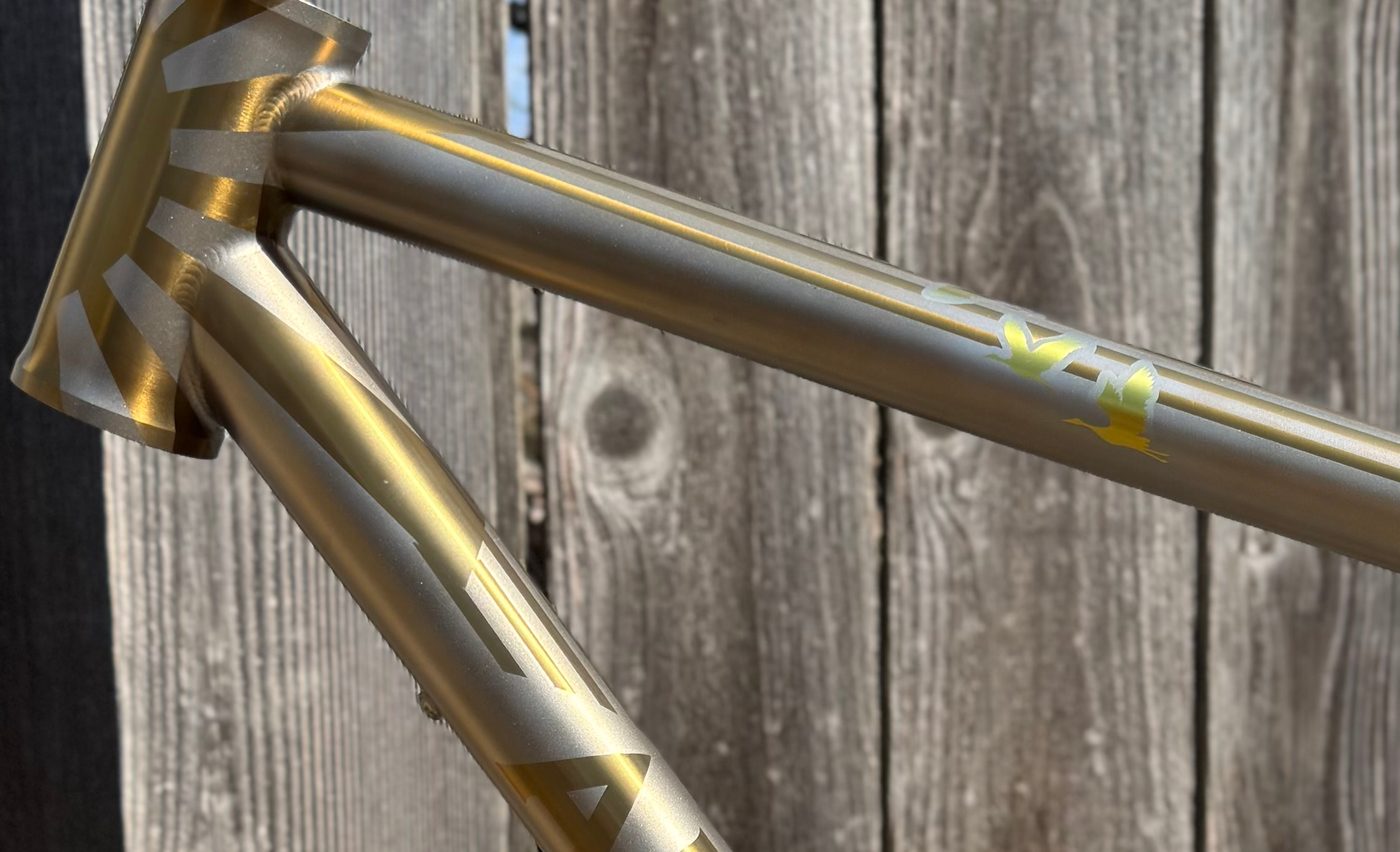 Champagne titanium head tube masked in gold chevrons, above a gold wordmark starting down the down tube