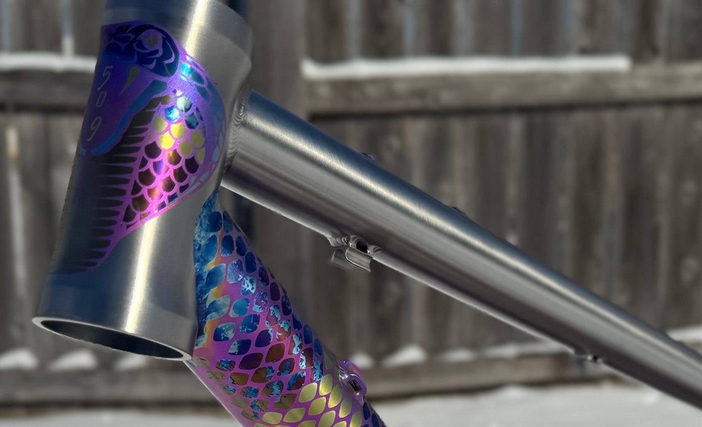 Cobra head tube and snake-scale masking anodized down the down tube
