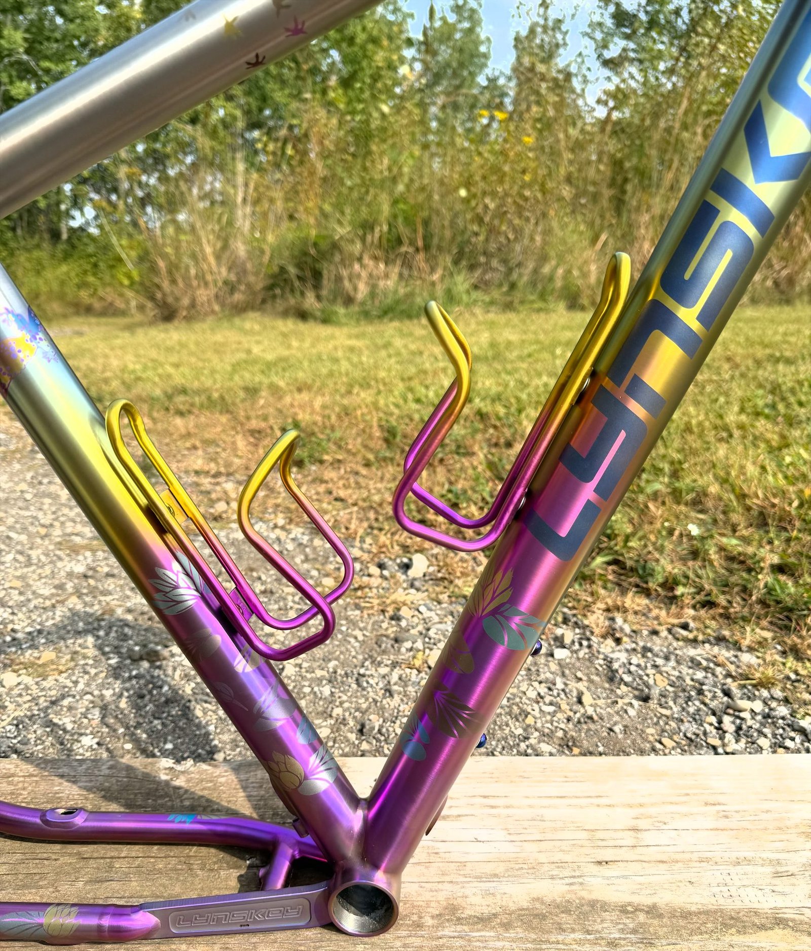 Purple-to-Teal Frame Design